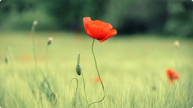 Beates Pflegeservice: Ihre ambulante Alten- und Krankenpflege in Zirndorf